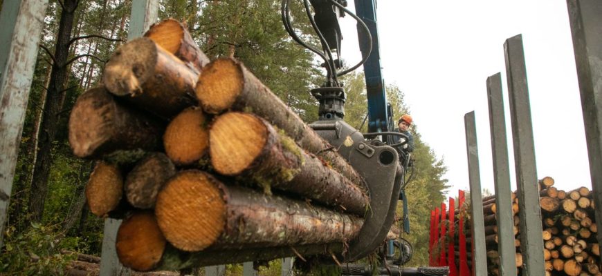 Минлесхоз России и Белоруссии предлагают перейти на электронное хранение древесины